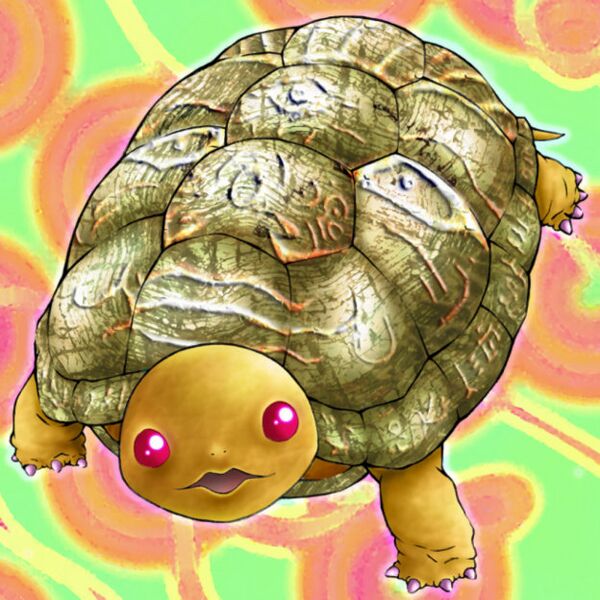File:GoraTurtle.jpg