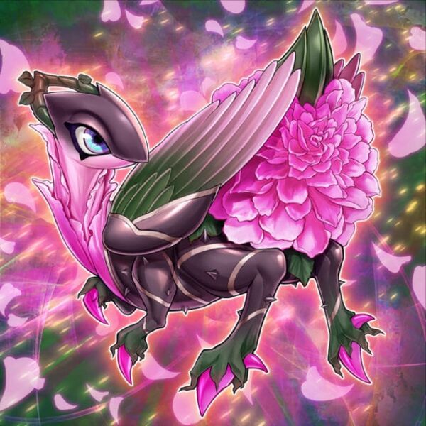 File:RoxroseDragon.jpg