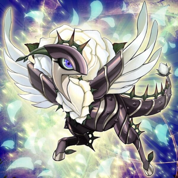 File:WhiteRoseDragon.jpg
