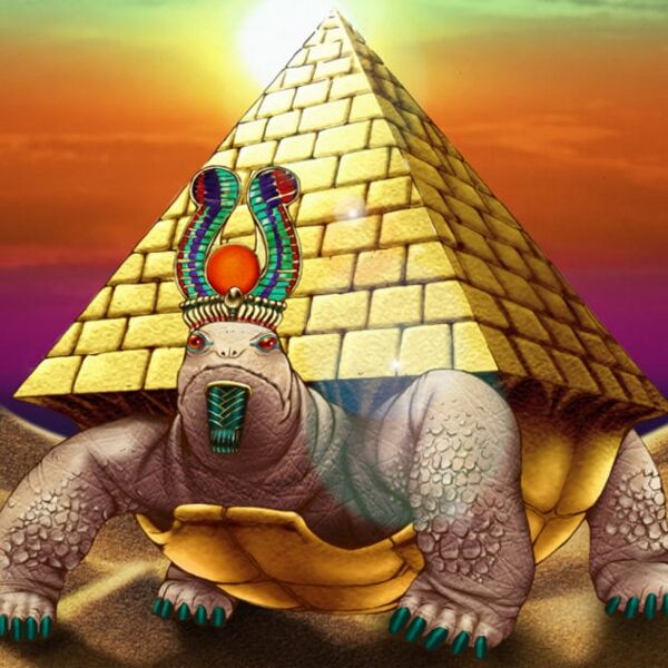 File:PyramidTurtle.jpg