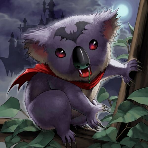 File:VampiricKoala.jpg