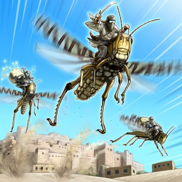 File:DesertLocusts.jpg